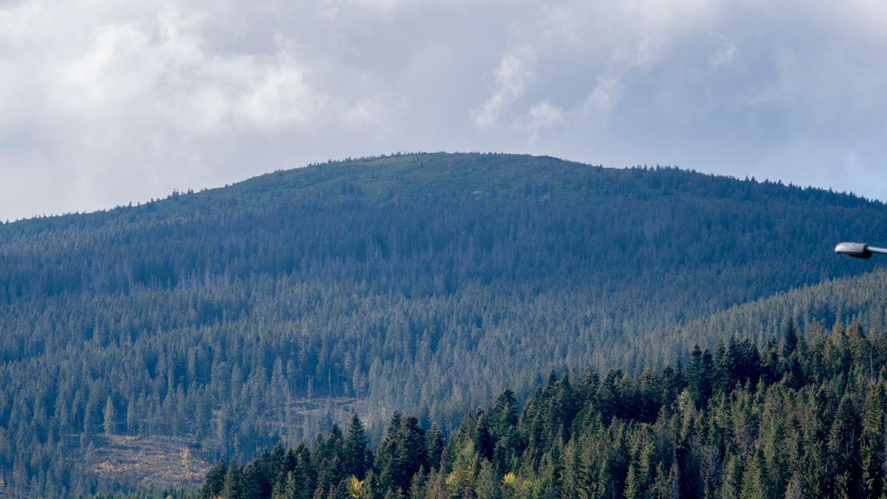 U Jedrusia Daire Zubrzyca Gorna Dış mekan fotoğraf