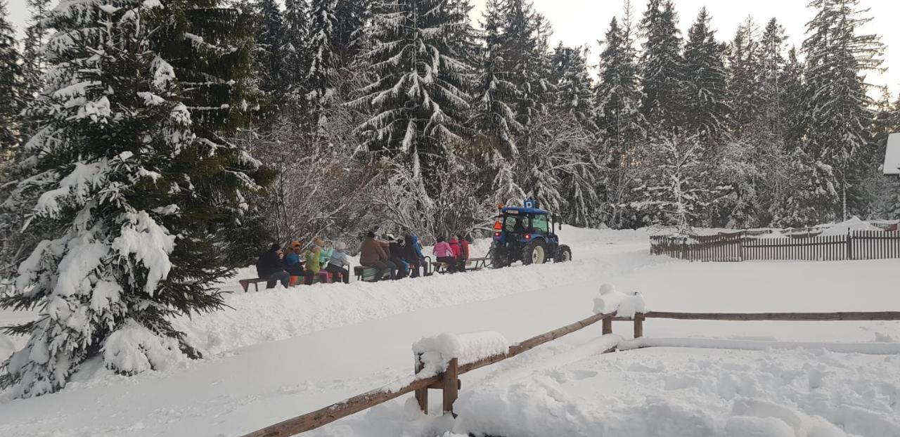 U Jedrusia Daire Zubrzyca Gorna Dış mekan fotoğraf