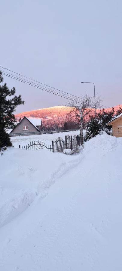 U Jedrusia Daire Zubrzyca Gorna Dış mekan fotoğraf